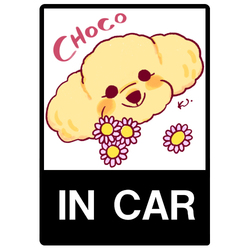 CHOCO *line