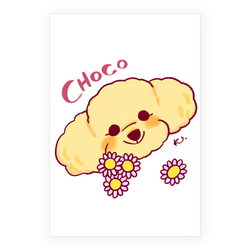 CHOCO *line