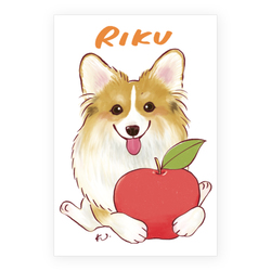 RIKU
