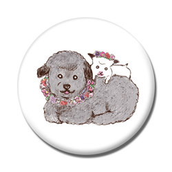 Ina-na_トイプードル2-1