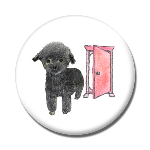 shoco_トイプードル2-1