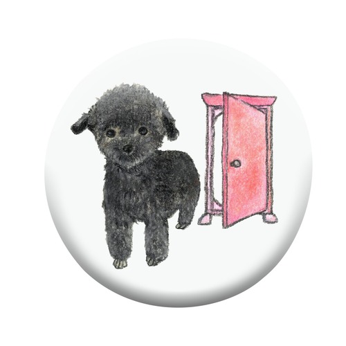 shoco_トイプードル2-1