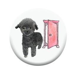 shoco_トイプードル2-1