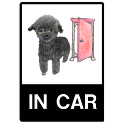 shoco_トイプードル2-1