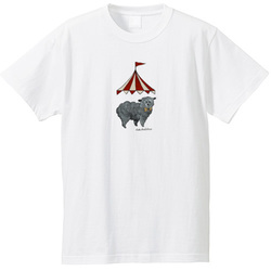 はくたちひろ_トイプードル2-1