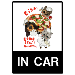 AVALON & Regin & marc