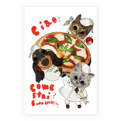 AVALON & Regin & marc