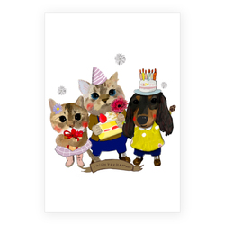 AVALON & Regin & marc