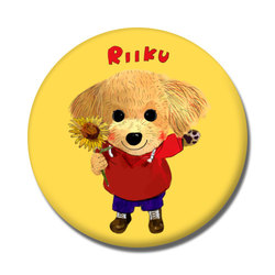 RIIKU