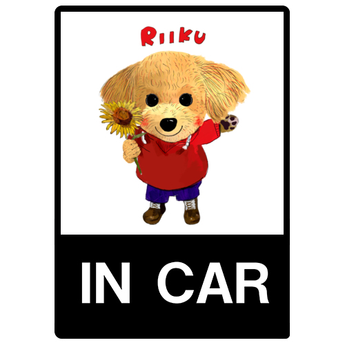 RIIKU