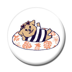 Ina-na_シーズー3-1