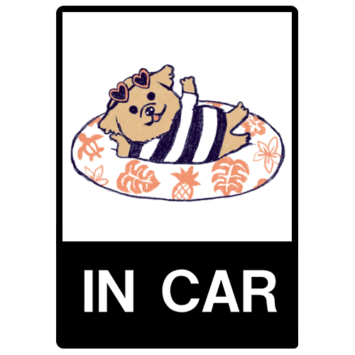 Ina-na_シーズー3-1