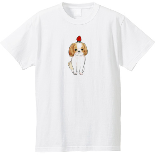 shoco_シーズー3-1