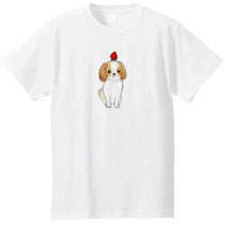 shoco_シーズー3-1