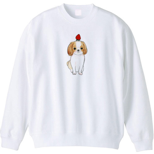 shoco_シーズー3-1