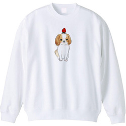 shoco_シーズー3-1