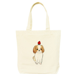 shoco_シーズー3-1