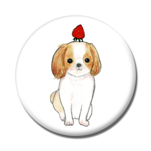 shoco_シーズー3-1