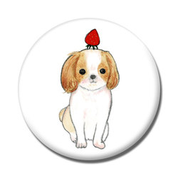 shoco_シーズー3-1