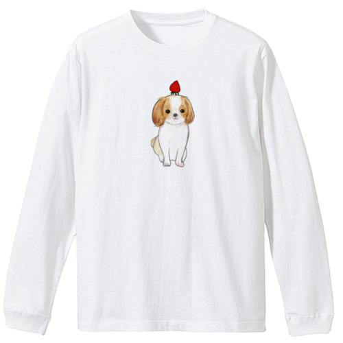 shoco_シーズー3-1