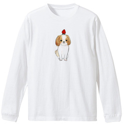 shoco_シーズー3-1