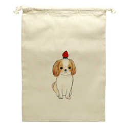 shoco_シーズー3-1