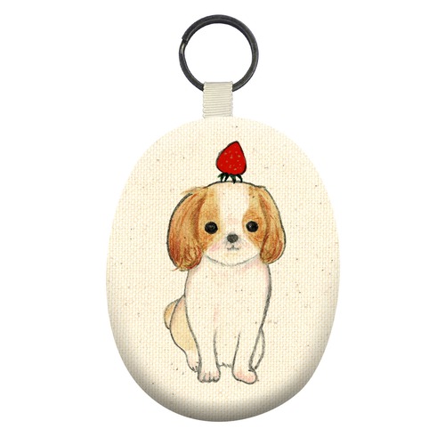 shoco_シーズー3-1