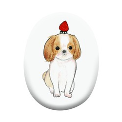 shoco_シーズー3-1