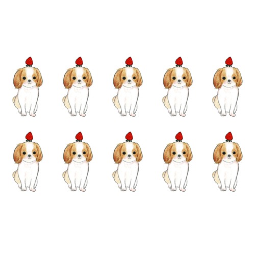 shoco_シーズー3-1