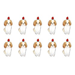 shoco_シーズー3-1