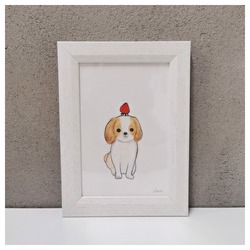 shoco_シーズー3-1