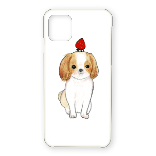 shoco_シーズー3-1