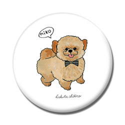 はくたちひろ_シーズー3-1