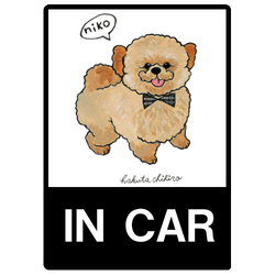 はくたちひろ_シーズー3-1