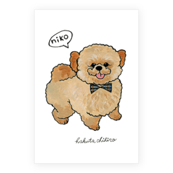 はくたちひろ_シーズー3-1