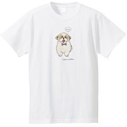 はくたちひろ_シーズー3-2