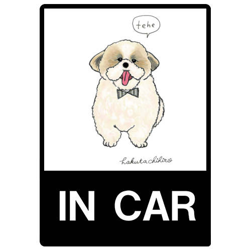 はくたちひろ_シーズー3-2