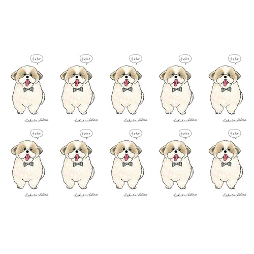 はくたちひろ_シーズー3-2