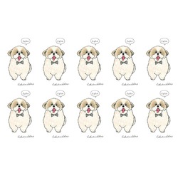 はくたちひろ_シーズー3-2