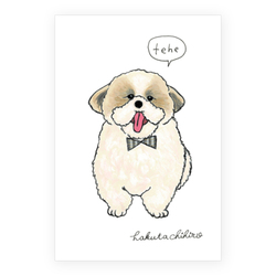 はくたちひろ_シーズー3-2