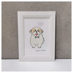 はくたちひろ_シーズー3-2