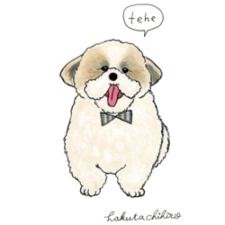 はくたちひろ_シーズー3-2