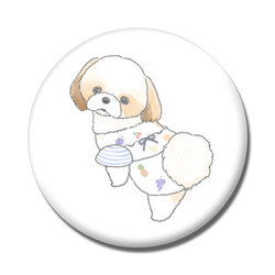 もちこ_シーズー3-1