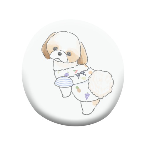 もちこ_シーズー3-1