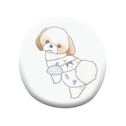 もちこ_シーズー3-1