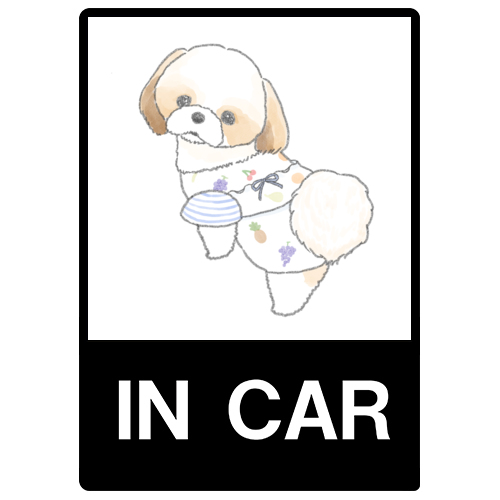 もちこ_シーズー3-1