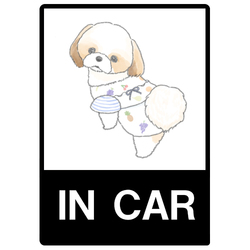 もちこ_シーズー3-1