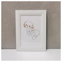 もちこ_シーズー3-1