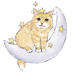 Ina-na_マンチカン3-1