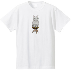 shoco_マンチカン3-1